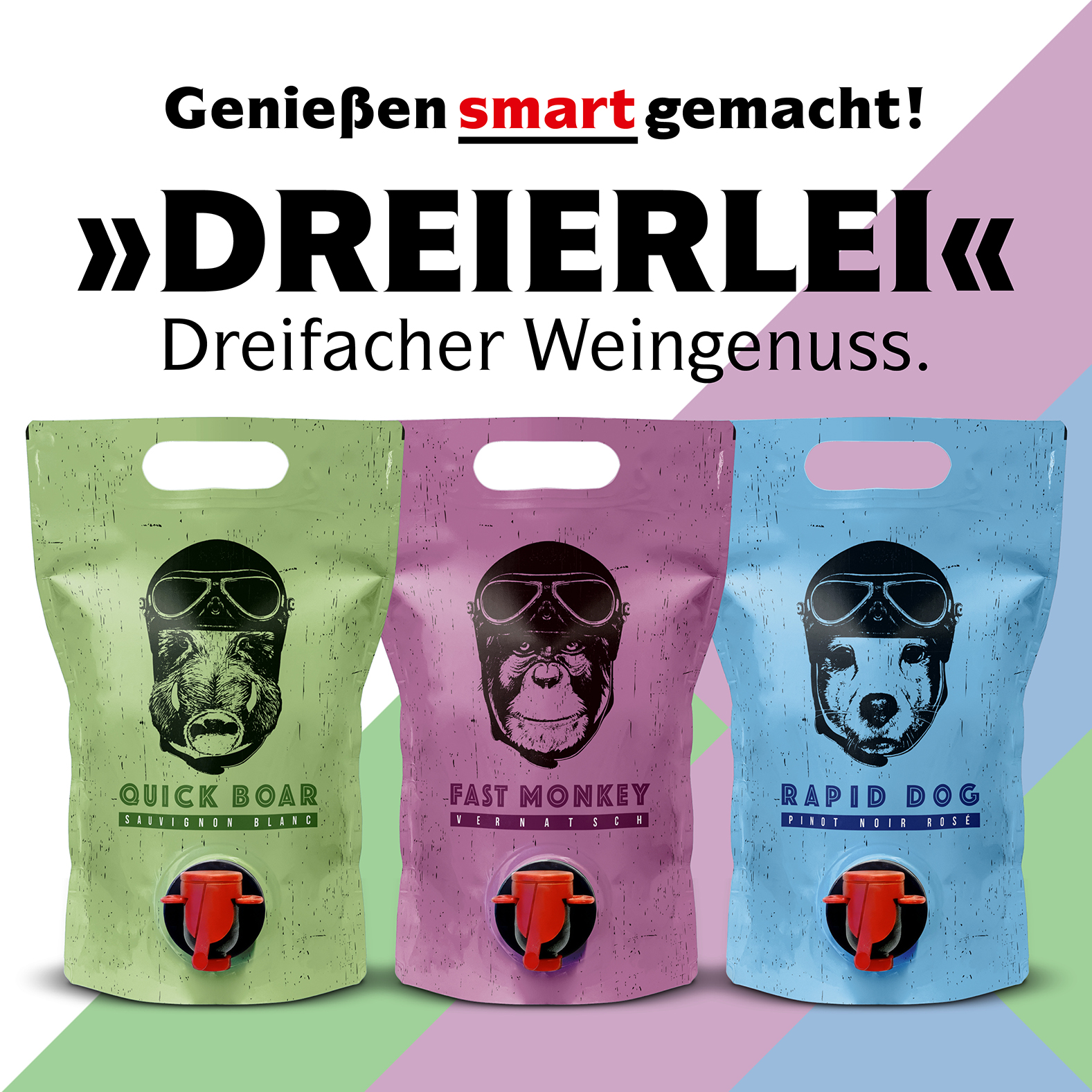 Shopbild2026