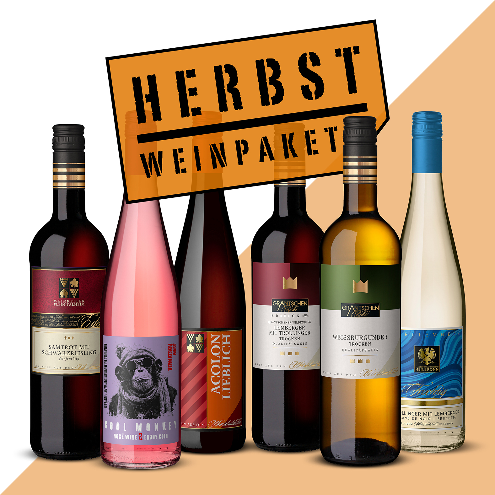 Shopbild-Bild_Herbstweinpaket2026 Herbstweinpaket - 6 Fl. für 29€